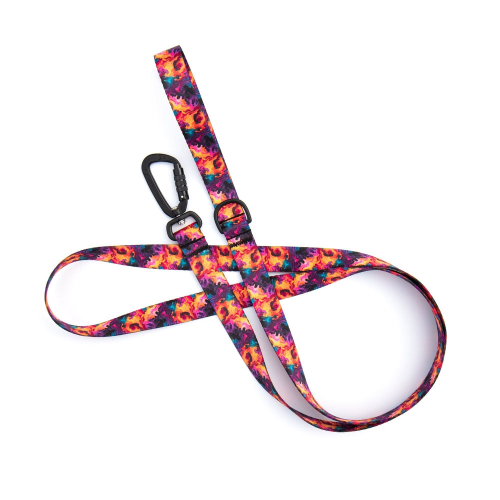 Vibrant Flames Dog Leash With Auto-Locking Carabiner