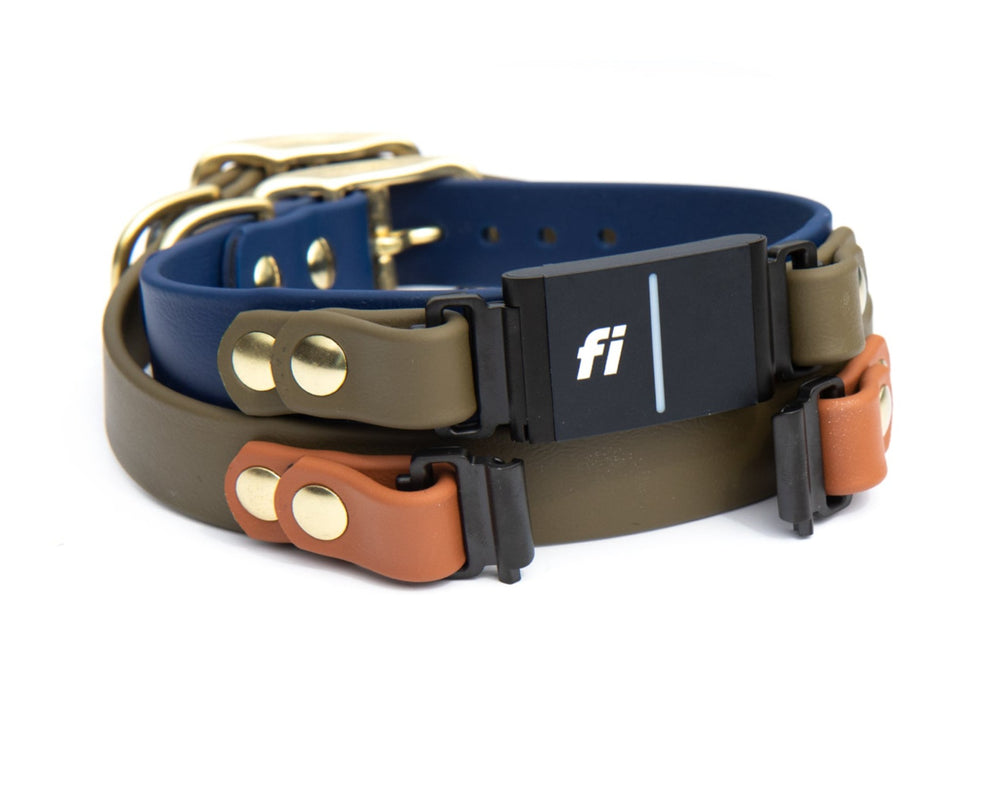 Fi Compatible Collars – SeaFlower Company