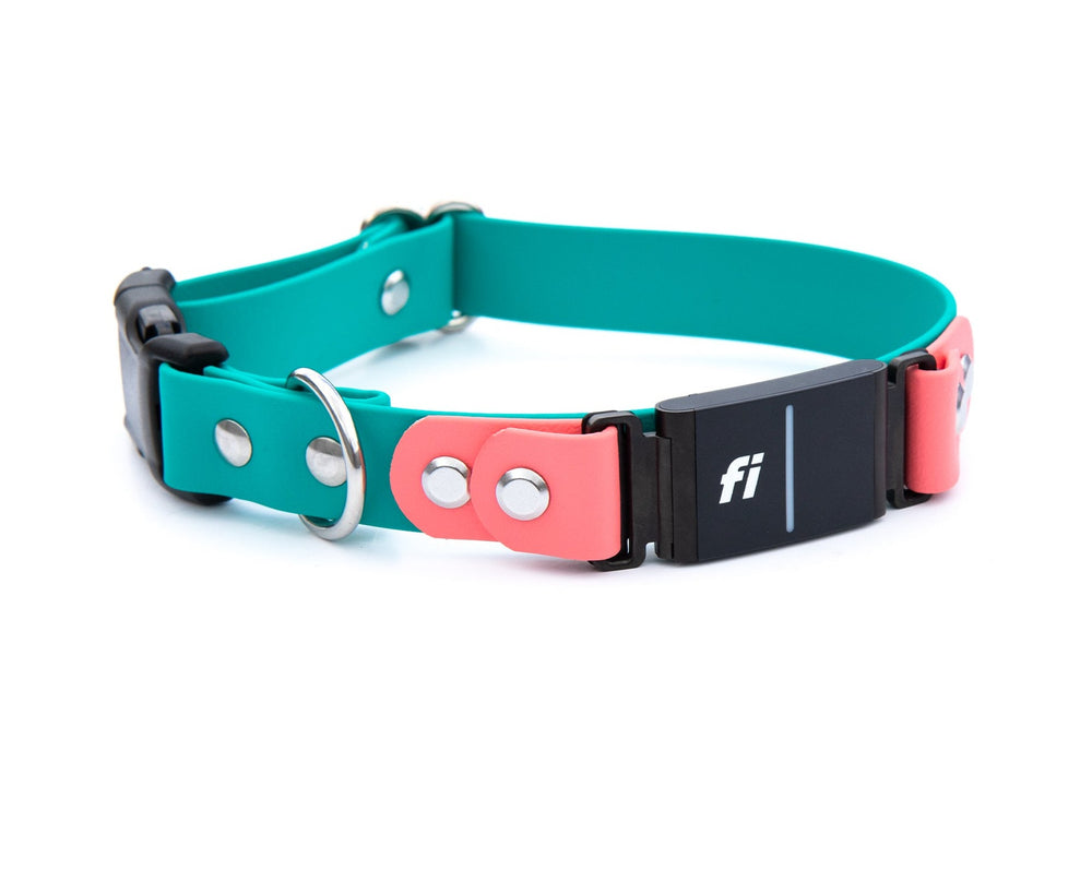  Fi Compatible Series 3 - Adjustable Side Release Buckle BioThane® Collar