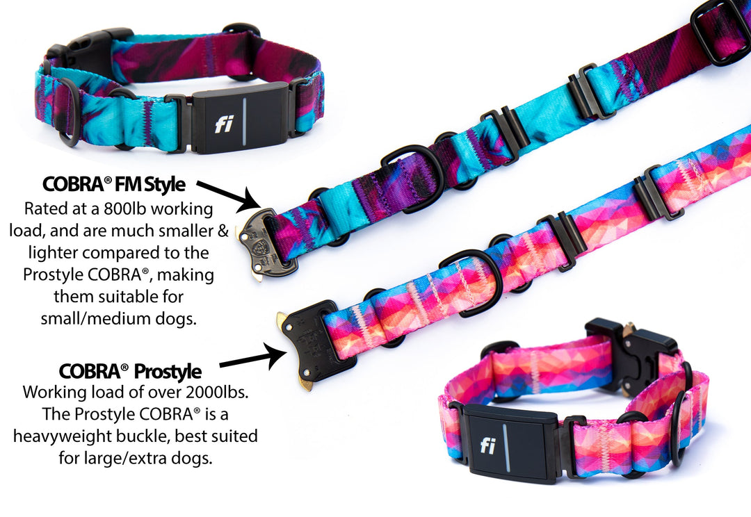 Fi Compatible Martingale With Buckle | SeaFlower Co