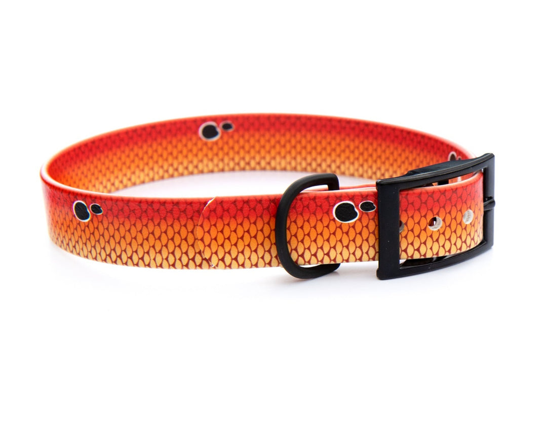 Redfish Waterproof BioThane® Dog Collar | SeaFlower Co