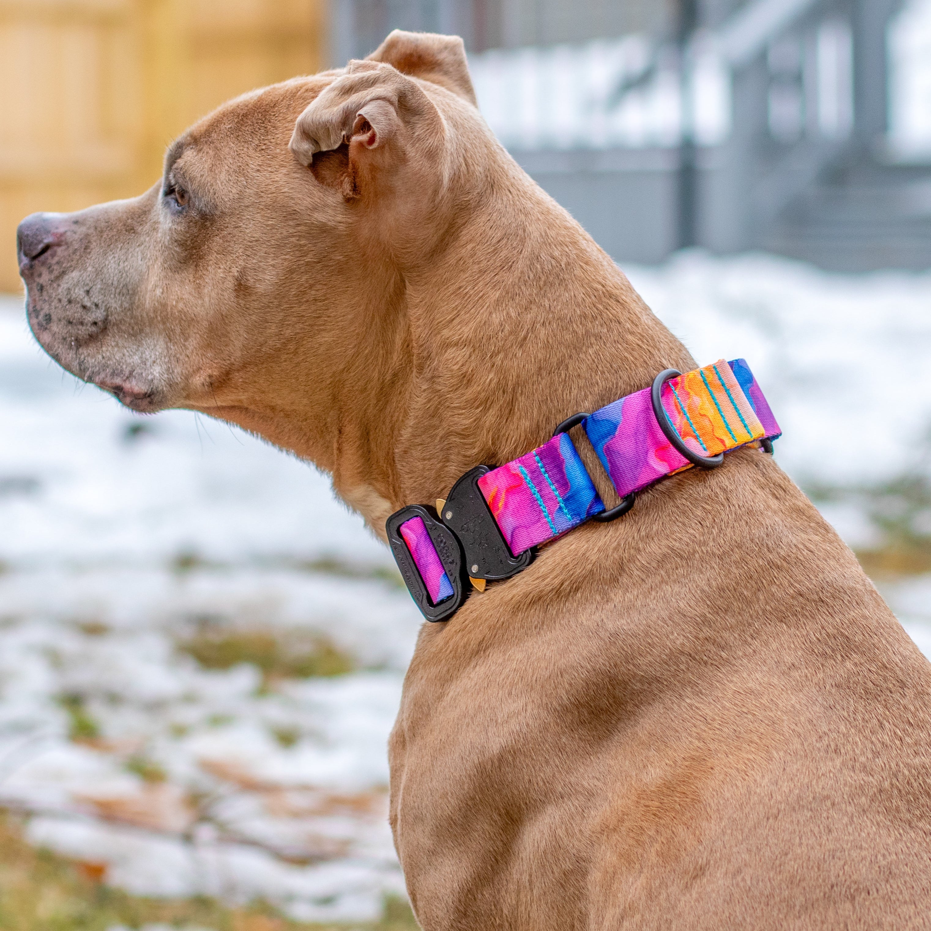 Kumfi Kombi Martingale Collar – Small Size 30-38cm, New