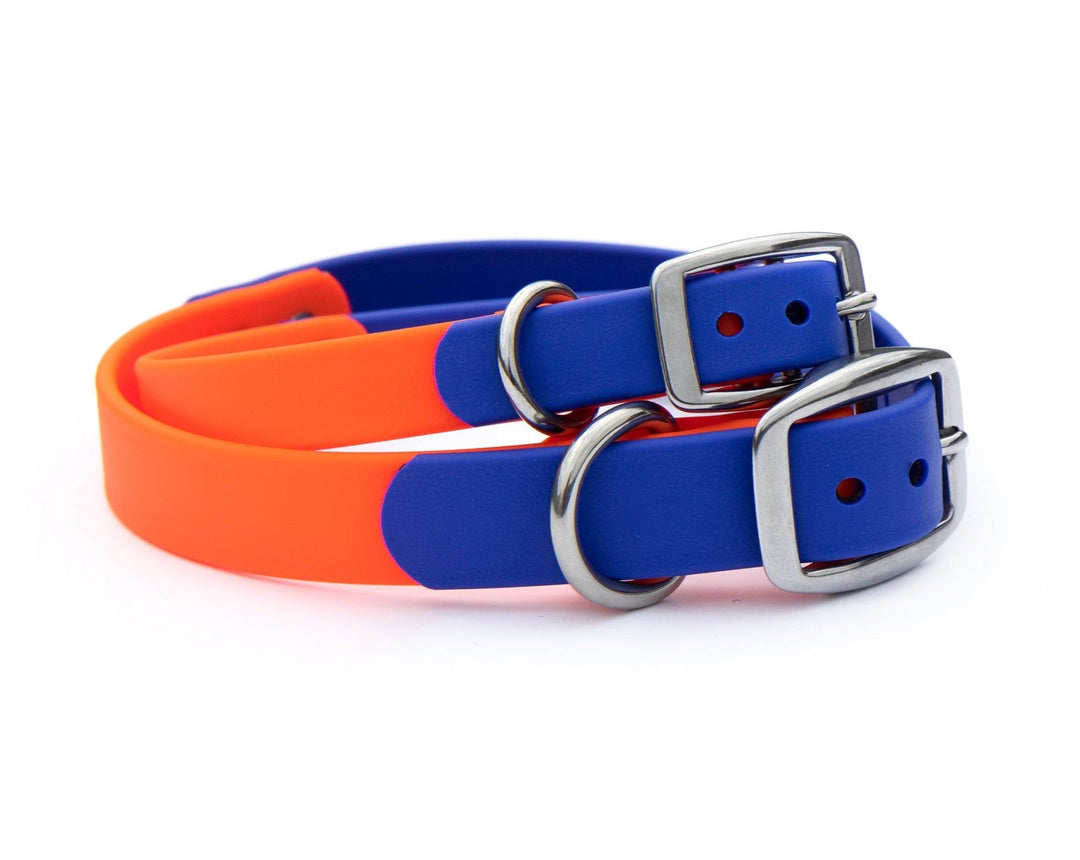 Cobalt & Neon Orange BioThane® Collar