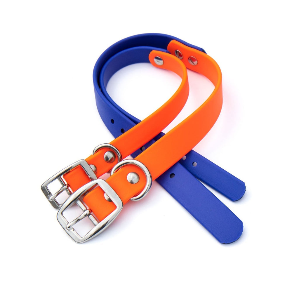 Cobalt & Neon Orange BioThane® Collar | SeaFlower Co