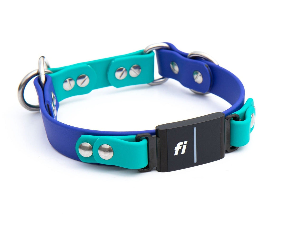 Fi Compatible Series 3  Limited Slip BioThane® CollarFi Compatible Series 3 - Limited Slip BioThane® Collar