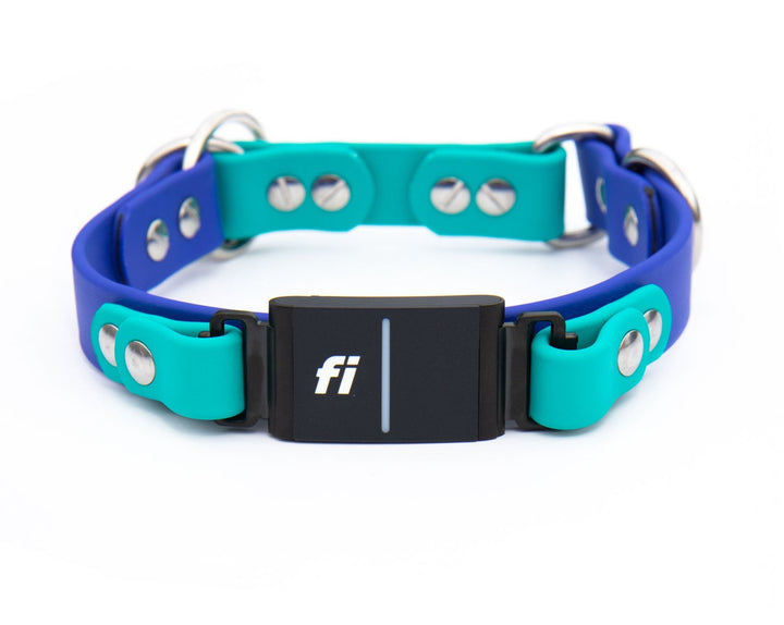 Fi Compatible Series 3 - Limited Slip BioThane® Collar