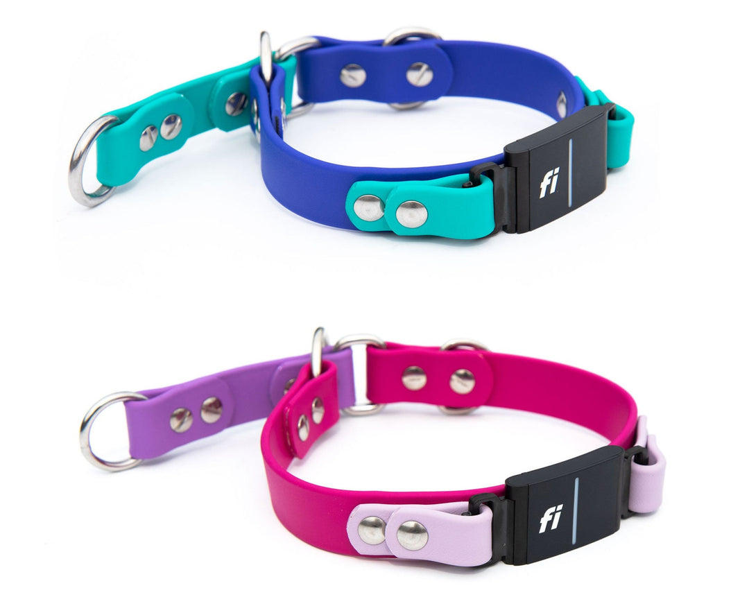 Fi Compatible Series 3 - Limited Slip BioThane® Collar