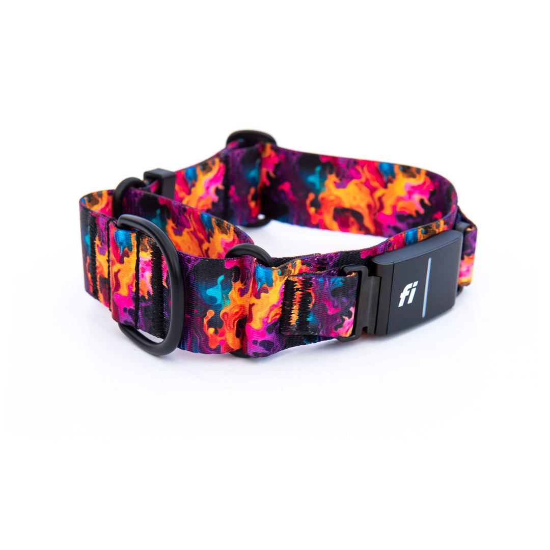 Fi Compatible Series 3 Martingale Collar | SeaFlower Co
