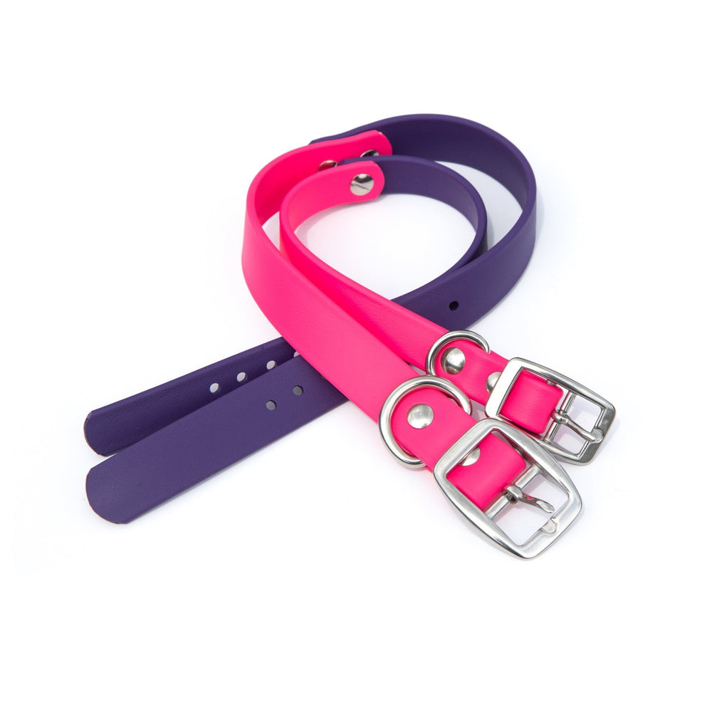 Pink & Purple Waterproof Collar