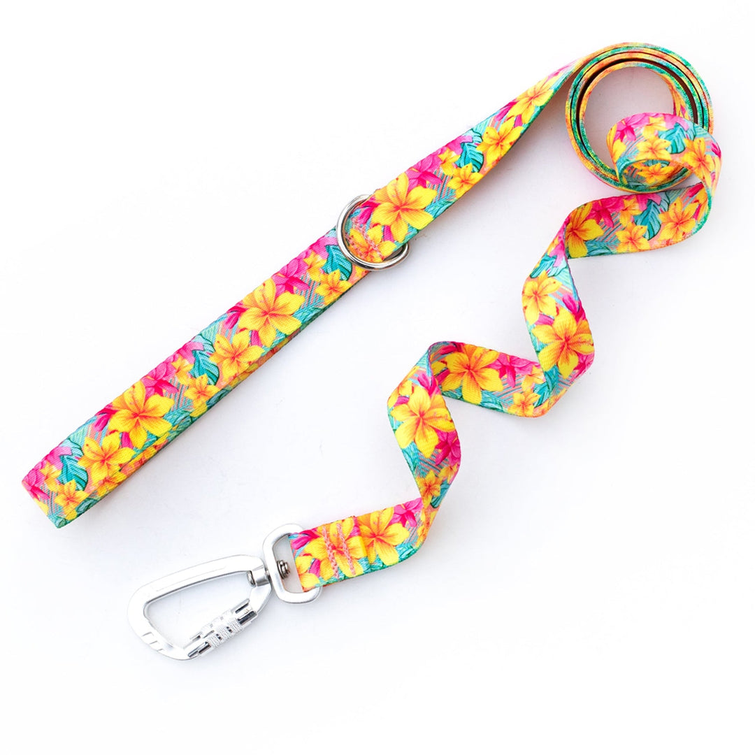 Colorful floral-patterned dog leash on a white background