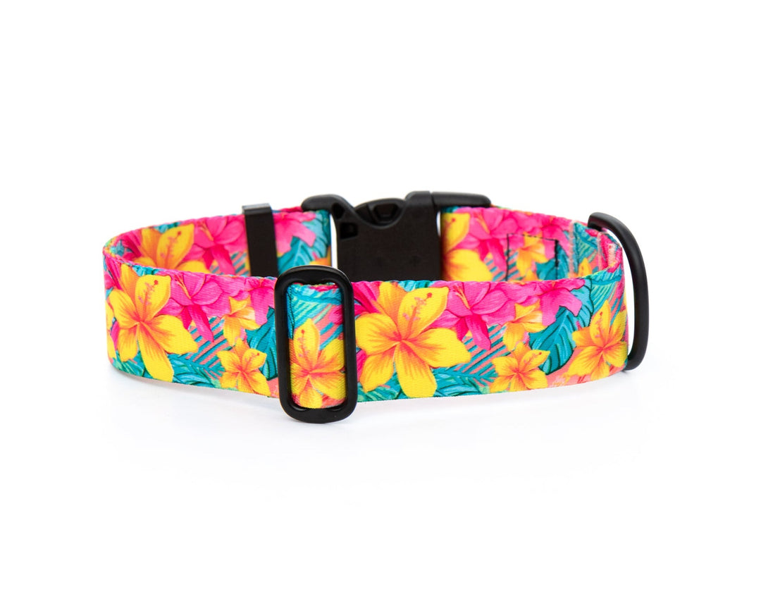 Yellow Hawaiian Floral Dog Collar | SeaFlower Co