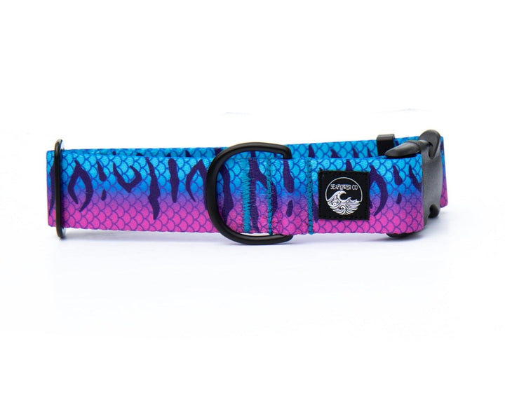 Purple Mackerel Dog Collar | SeaFlower Co