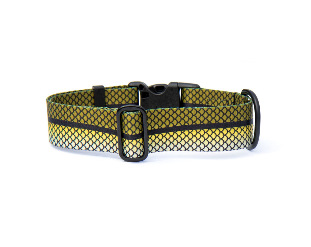 Snook Dog Collar | SeaFlower Co