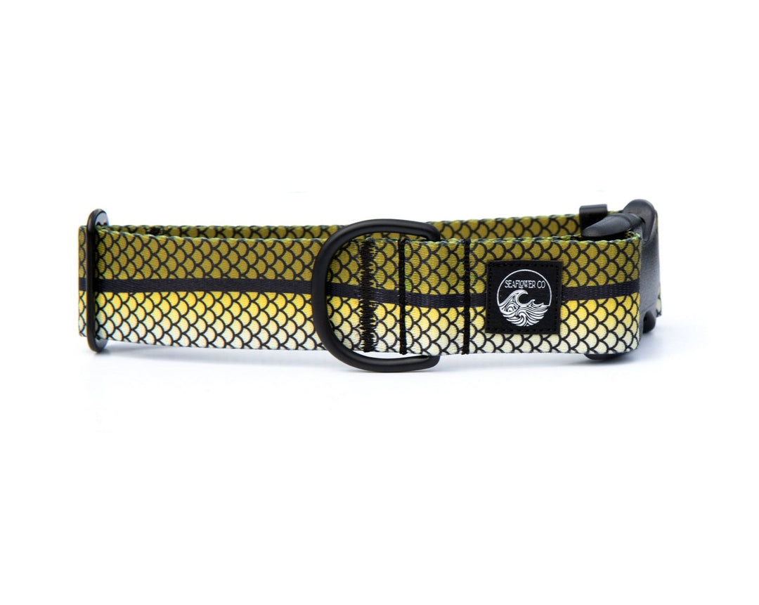 Snook Dog Collar | SeaFlower Co