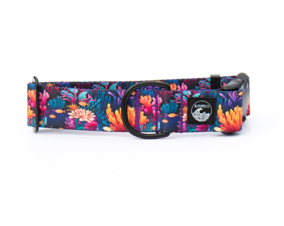 Coral Reef Dog Collar | SeaFlower Co
