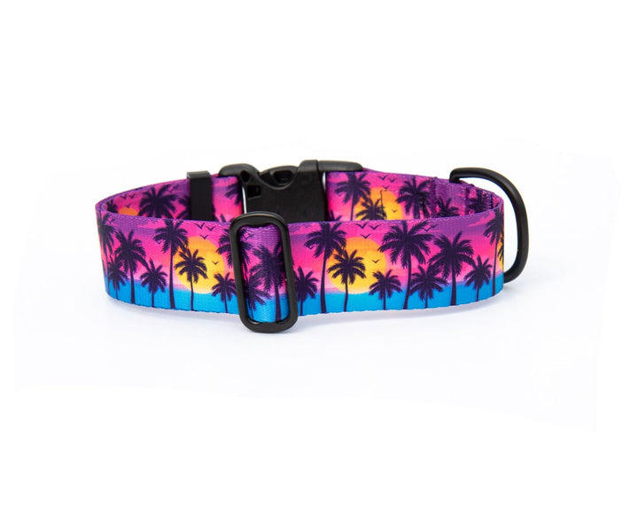 Sunset Beach Dog Collar | SeaFlower Co