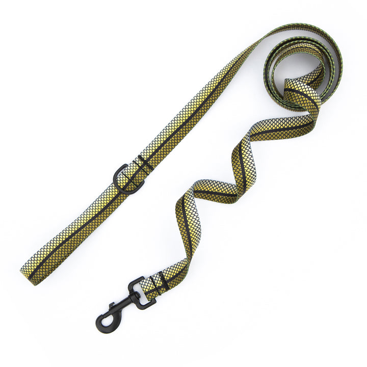 Snook Leash