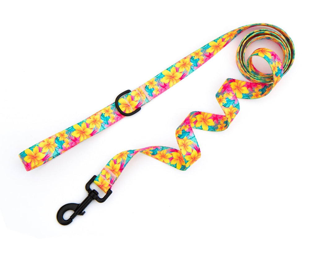 Kona top leash review