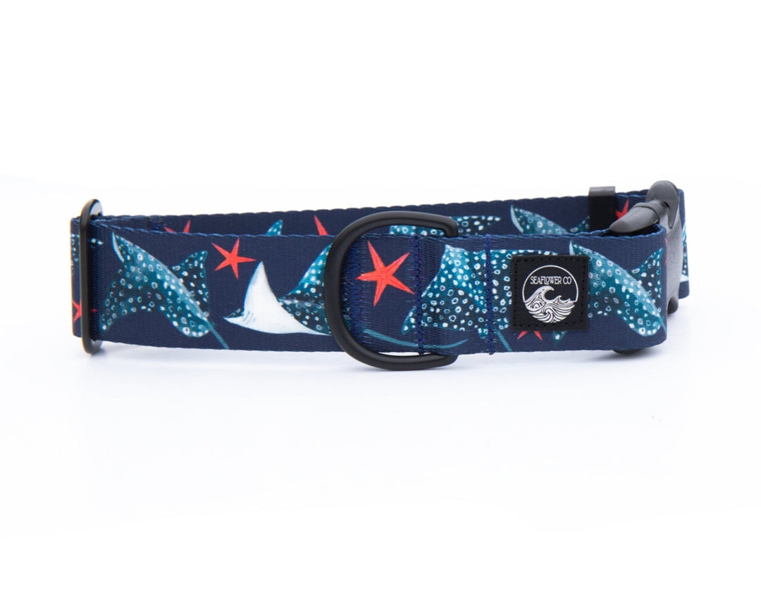 Spotted Eagle Ray Pet Collar | Stylish & Durable Dog Gear