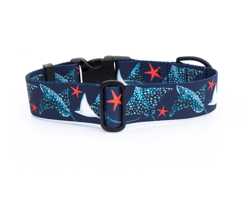 Spotted Eagle Ray Pet Collar | Stylish & Durable Dog Gear