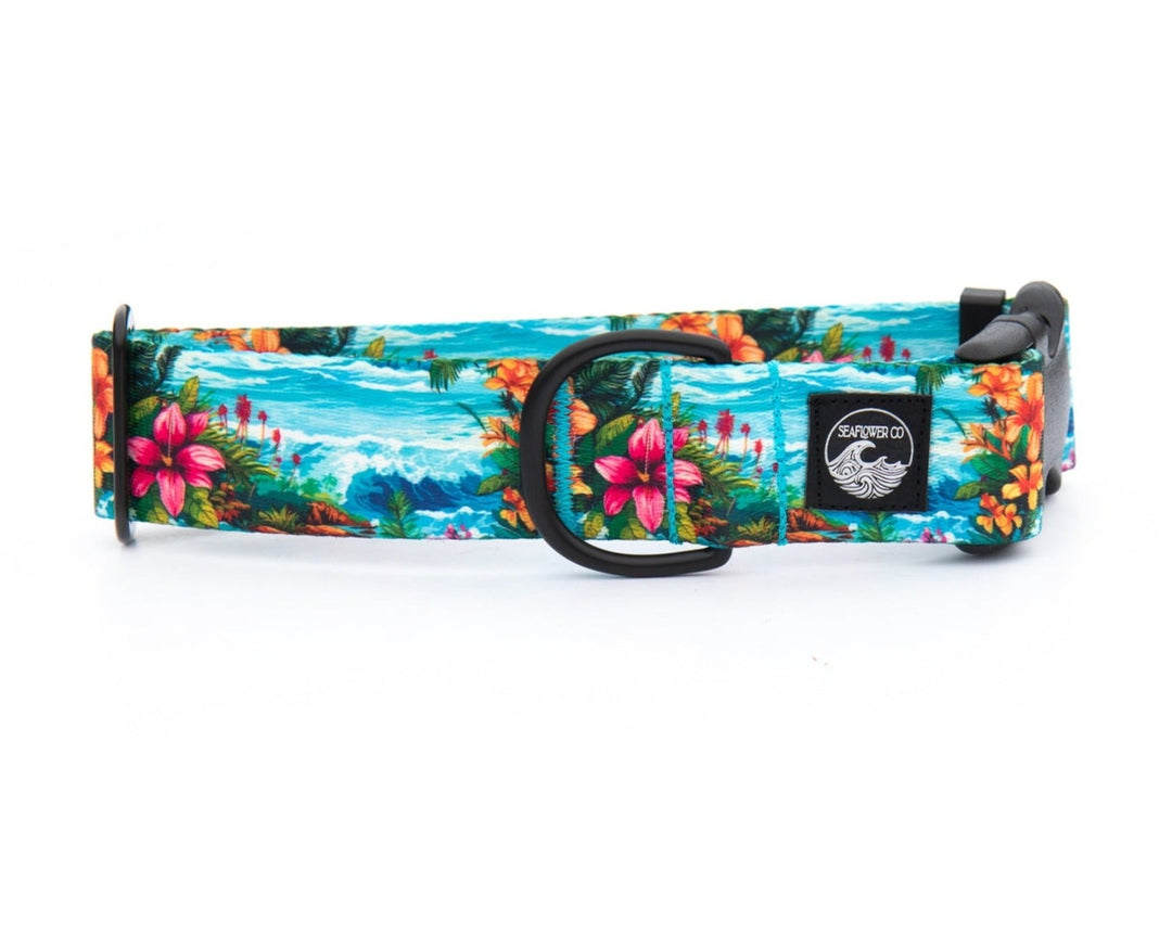Hawaii Beach Pet Collar | Stylish & Durable Dog Wear