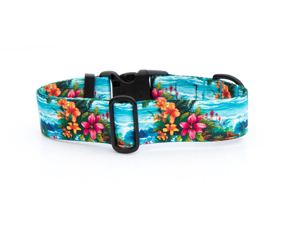 Hawaii Beach Pet Collar | Stylish & Durable Dog Wear