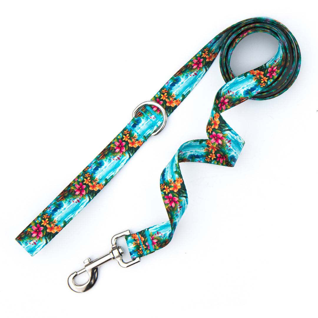Floral patterned dog leash on a white background