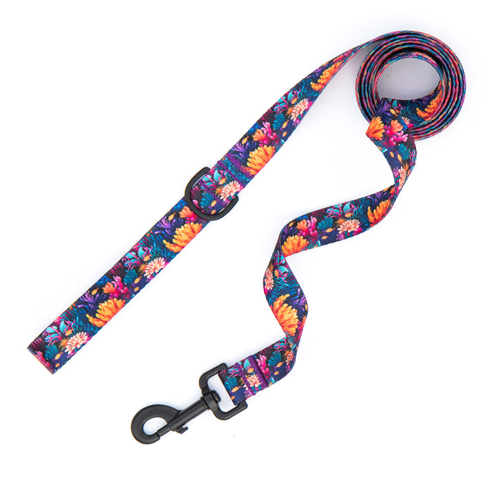 Sombrero Reef Leash
