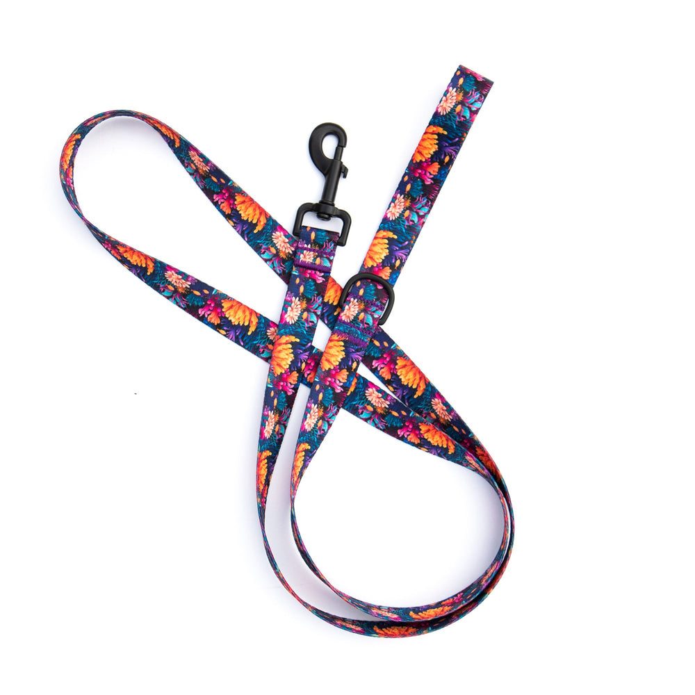 Coral Reef Dog Leash | SeaFlower Co