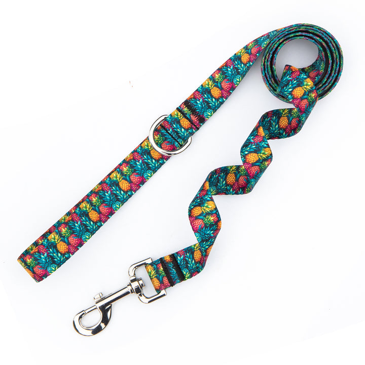 Summer Pineapples Leash