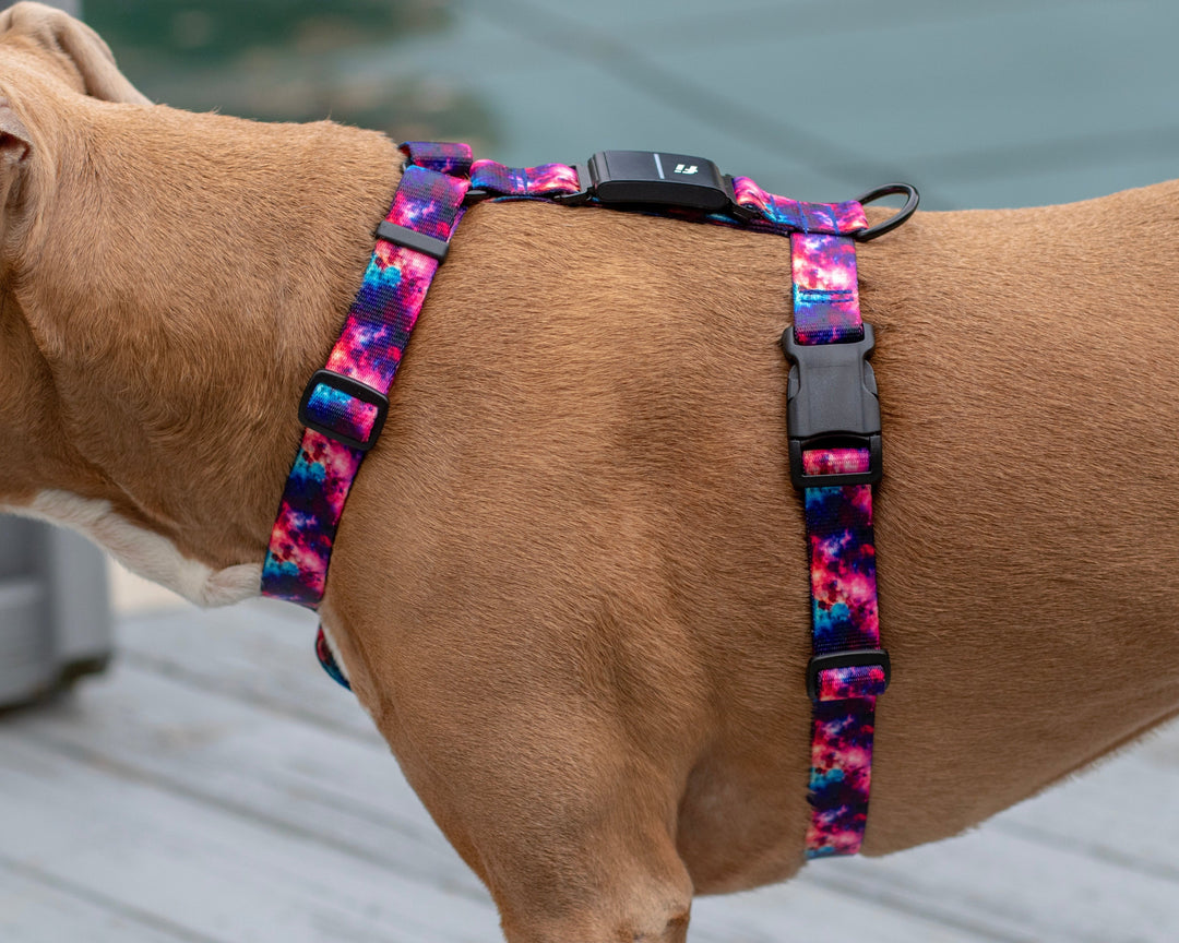 Fi Compatible Series 3 Adjustable Harness | SeaFlower Co