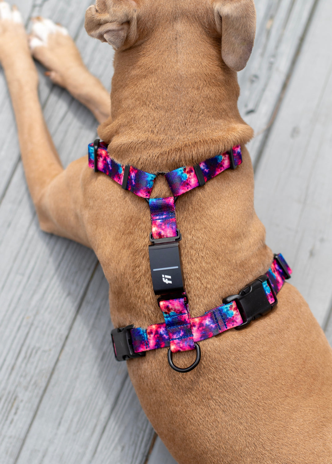 Fi Compatible Series 3 Adjustable Harness | SeaFlower Co