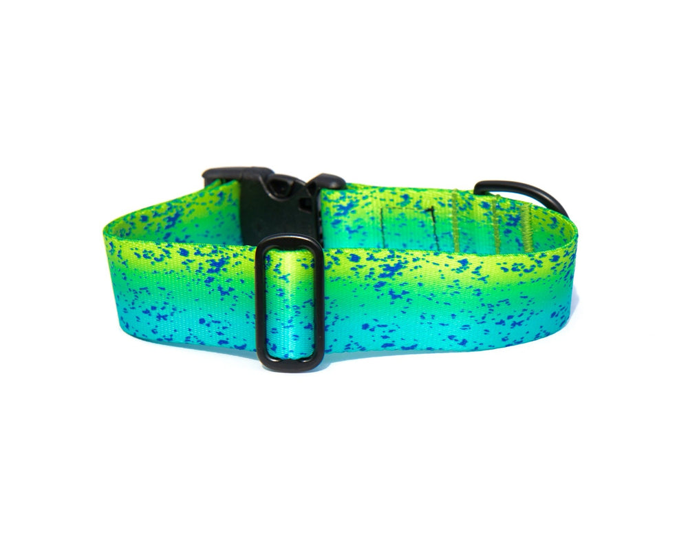 green mahi mahi dog collar | SeaFlower Co
