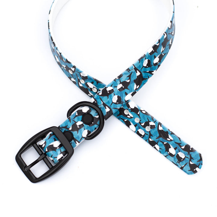 Orca BioThane Dog Collar | Waterproof Dog Gear