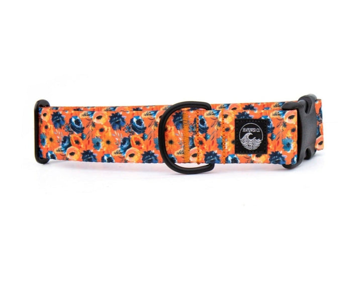 Fall Floral Dog Collar | SeaFlower Co