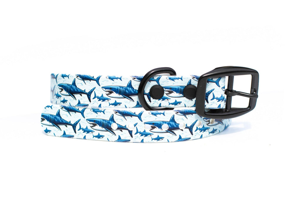 Great White Shark BioThane® Dog Collar | Waterproof Dog Gear
