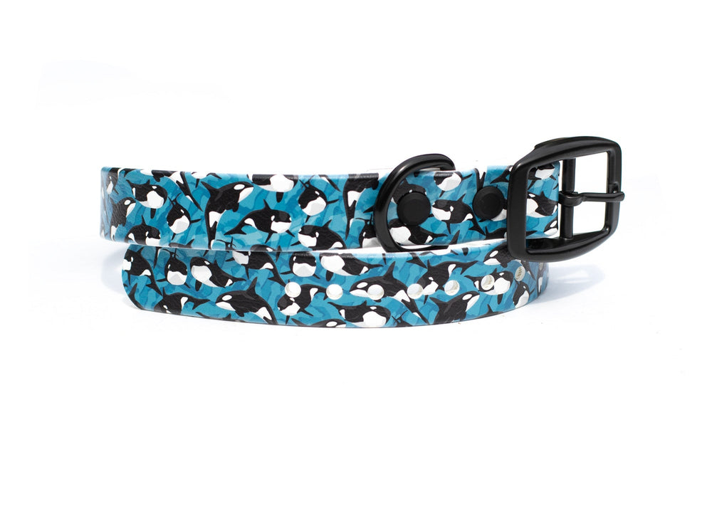 Orca BioThane Dog Collar | Waterproof Dog Gear