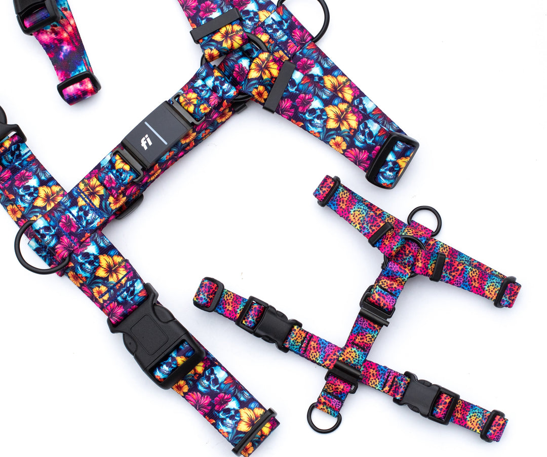 Fi 3 Compatible Harness | SeaFlower Co