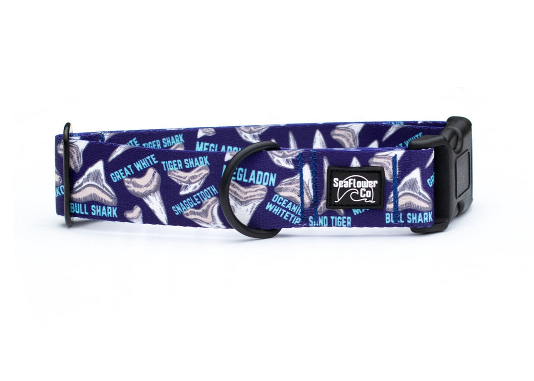Shark Teeth Dog Collar | SeaFlower Co