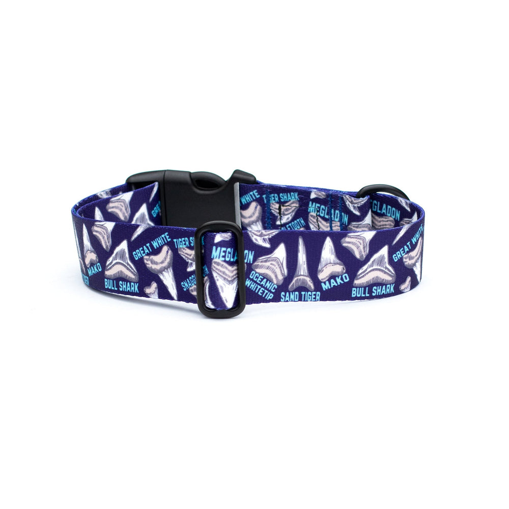 Shark Teeth Dog Collar | SeaFlower Co