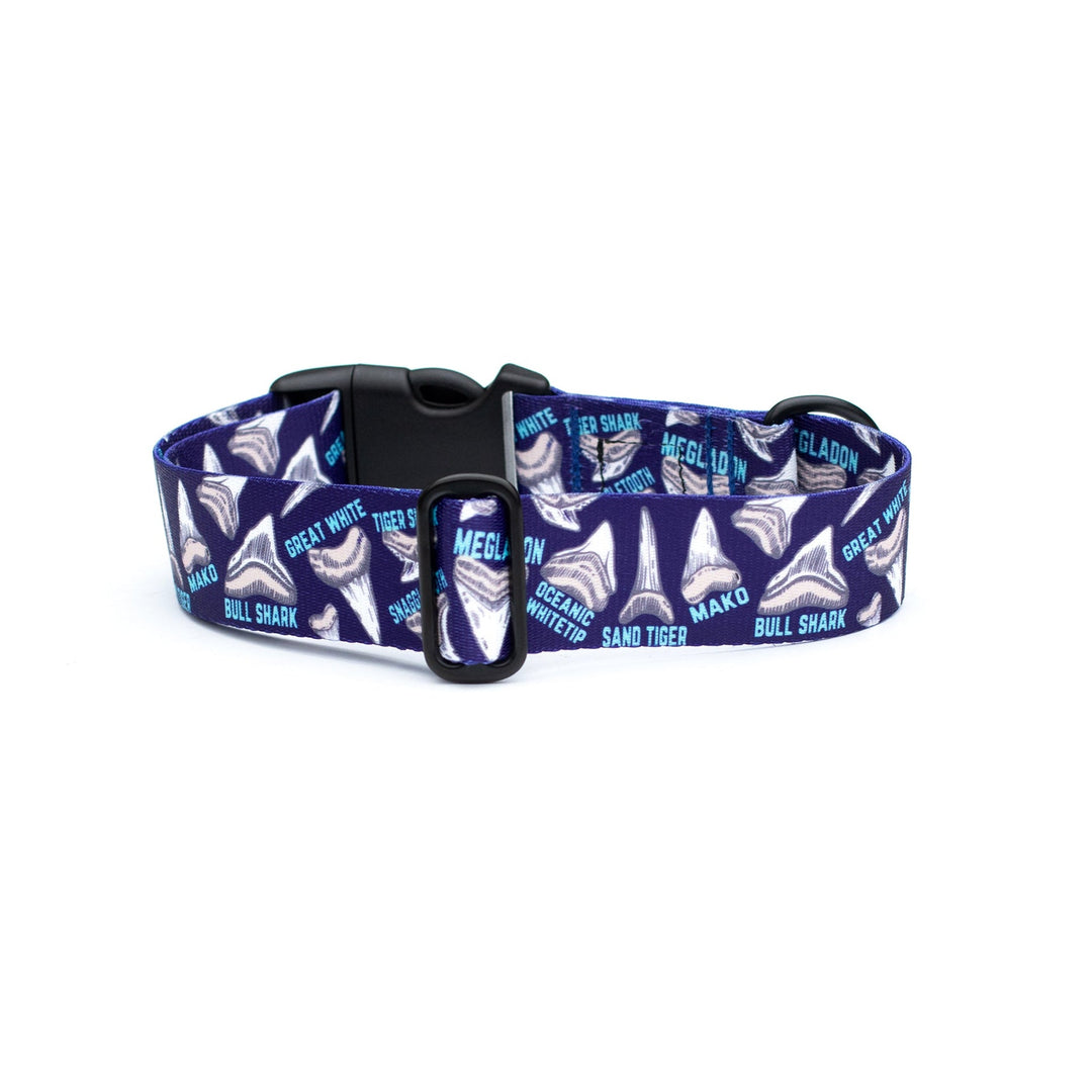 Shark Teeth Dog Collar | SeaFlower Co