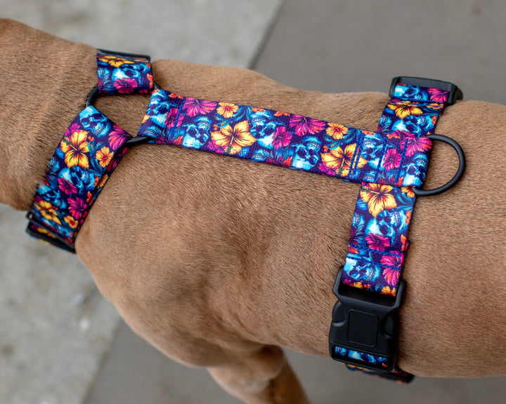 Adjustable Dog Harness | SeaFlower Co