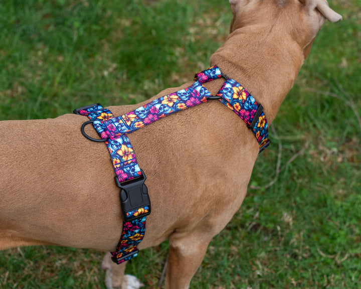 Adjustable Dog Harness | SeaFlower Co