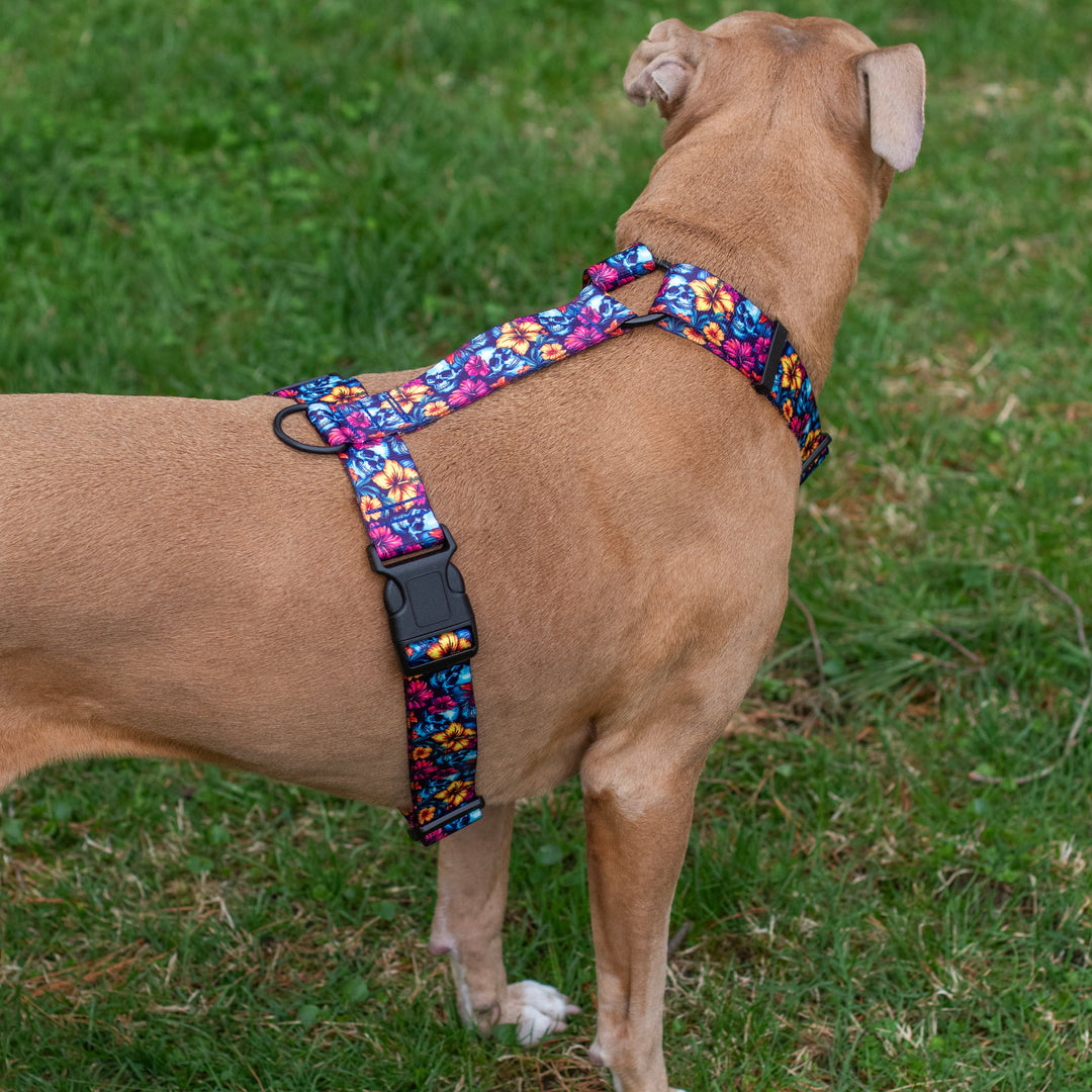 Adjustable Dog Harness | SeaFlower Co