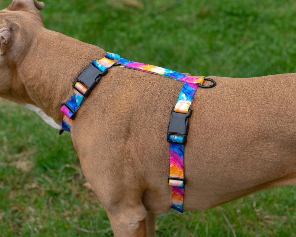 Adjustable Harness | SeaFlower Co