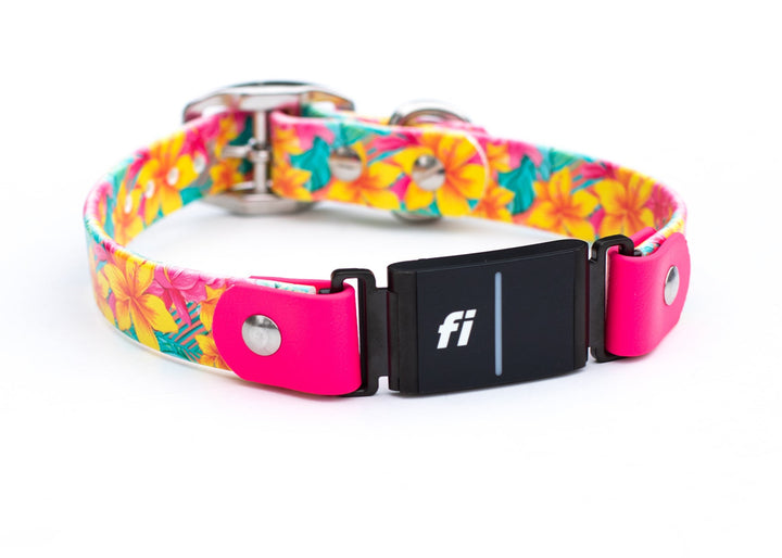 Fi Series 3 F Compatible Floral BioThane Collar | SeaFlower Co