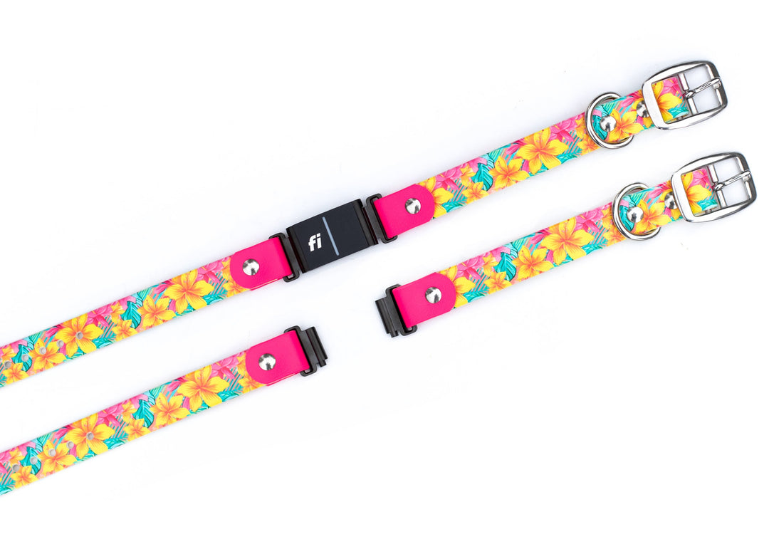 Fi Series 3 F Compatible Floral BioThane Collar | SeaFlower Co