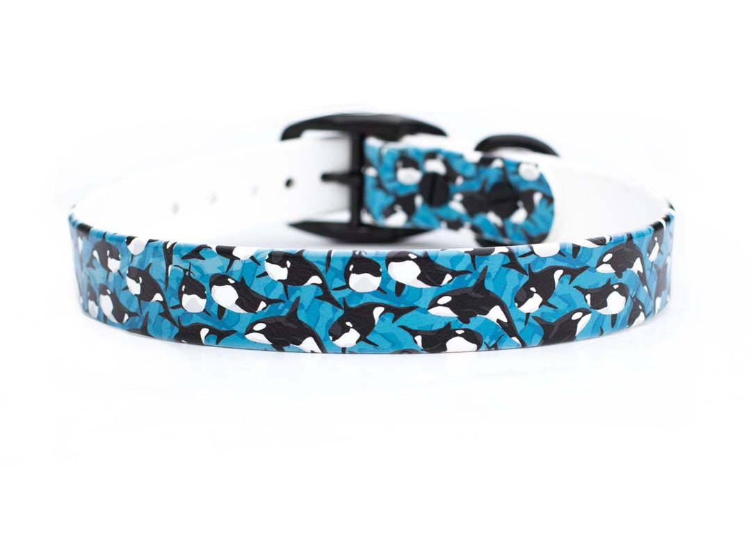 Orca BioThane Dog Collar | Waterproof Dog Gear