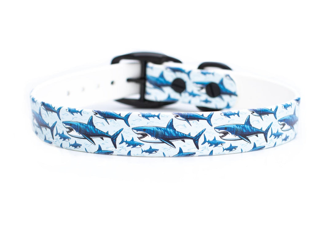 Great White Shark BioThane® Dog Collar | Waterproof Dog Gear