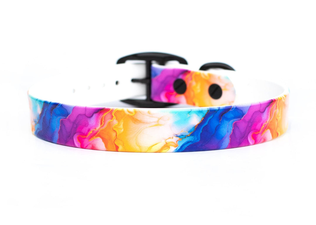 Rainbow BioThane® Dog Collar | Waterproof Dog Gear